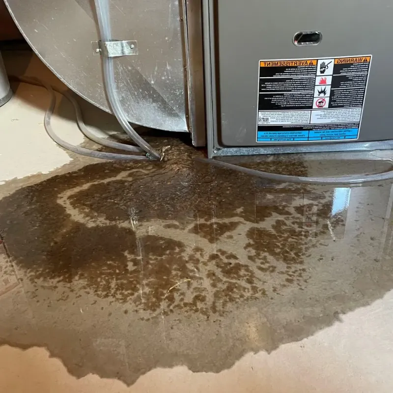 Pipe Burst and Leak Restoration in Fairhaven, MA