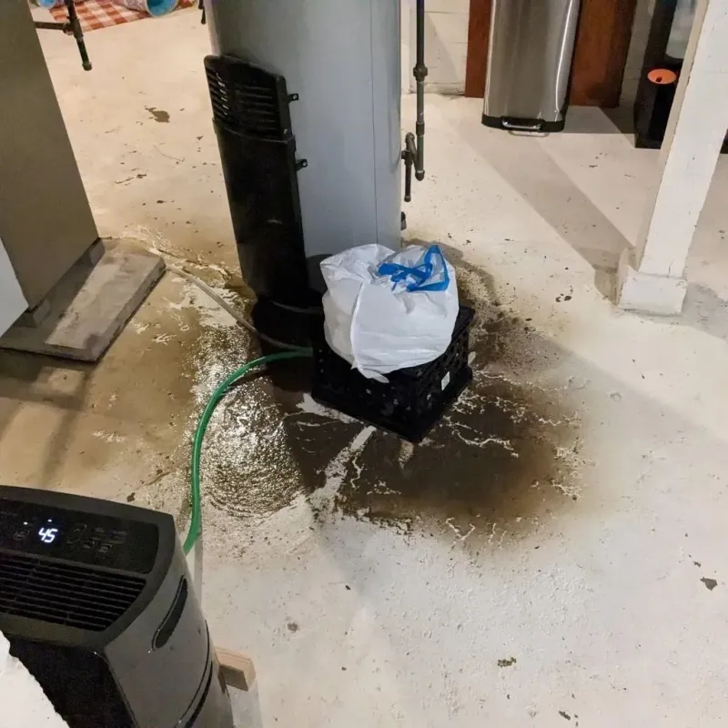 Sewage Backup Cleanup Service in Fairhaven, MA
